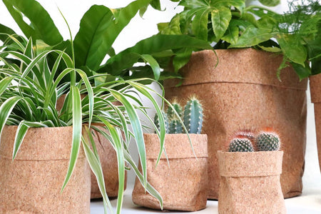 Plant-en opbergzakken