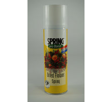 SPRING DRIED FLOWER SPRAY 300 ML