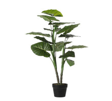 Taro in pot groen - h100xd70cm