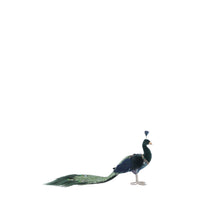 Pauw groen - l38xb14xh23cm