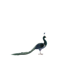 Pauw groen - l52xb20xh33cm