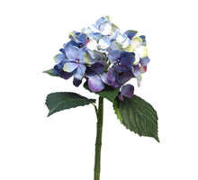 Hydrangea Artist blue/lavender 48cm
