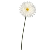 Gerbera wit - l64cm