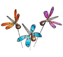 Tuinsteker libelle 'Sparkle' 3 assorti 95cm