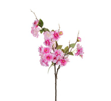 Bloesem l75cm dnkr roze