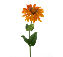 Zinnia spray orange 58cm