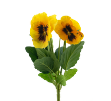 Pansy bush yellow 30cm