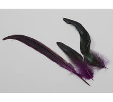 cb. 24 feathers/pheasant-rooster purple ass