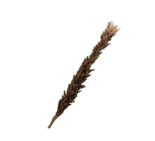 pc. 1 deco on stem d. Brown 78 cm