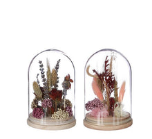 Stolp met droogbloemen 2 assortie - Ø10 h.16 cm - pink/burgundy