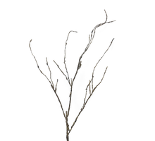 Wood twig Cordata 95cm