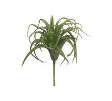 Tillandsia pick green 17cm