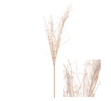 Stem False Goatsbeard w/Glitter 10x10x58cm Ivory