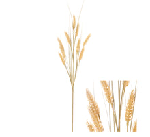 Stem Wild Barley 8x8x71cm Yellow