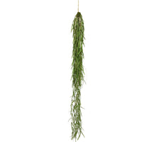 Hanging sprengeri bush green 94cm