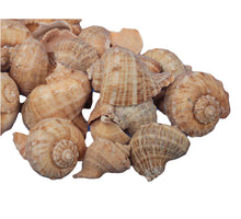 pb. Chirattai natural 1 kg