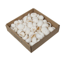 w/b. mattugon bleach 950 gr.