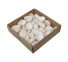 w/b. white chippy mix natural 800 gr.