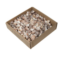 w/b. pull muttai natural 620 gr.