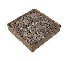 w/b. button shell natural 850 gr.