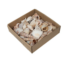 w/b. mixed shells D natural 500 gr.