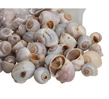 Nattai naturel schelpen 1 kg