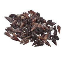 pb. Oori natural 500 gr.