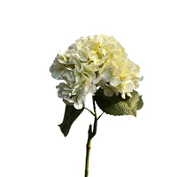 hydrangea spray 75 cm real touch cream