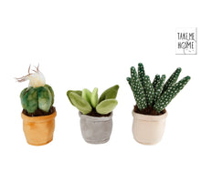 Take Me Home plant pluche S 3 assortie 12-17cm