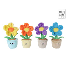 Take Me Home plant bloem pluche 4 assortie kleur 30cm