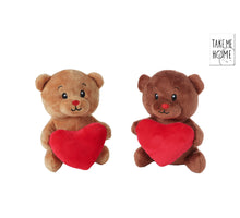 Take Me Home Beer met hart pluche 2 assortie 15cm