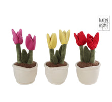 Take Me Home tulp plant pluche L 3 assortie 27cm