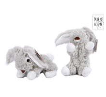Take Me Home konijn pluche liggend/zittend 2 assortie 14/12cm