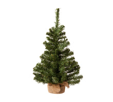 Imperial mini tree indoor green dia35 H60 cm
