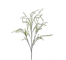 Asparagus tak donker groen 120 cm
