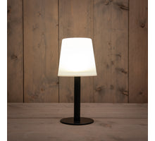 TAFELLAMP SOLAR LED 15X15X32CM WARM WIT