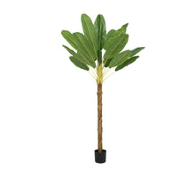 Bananenplant in pot groen L.120cm x W.100cm x H.180cm