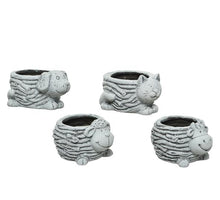 terrac planter 4ass white 6cm