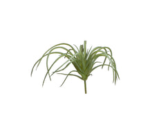 Tillandsia lXXcm groen