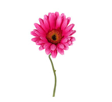 Gerbera l32cm cerise