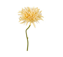 Gerbera wild l29cm geel