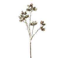 Herbiatic bush snowed brown 61cm