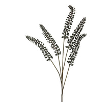 Phytolacca black 93cm