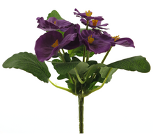 Viola pick purple 20cm