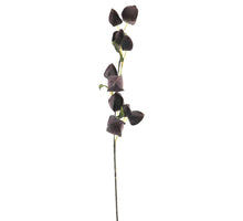 Physalis spray purple 76cm