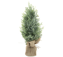 Cedar christmas tree Carly iced 38cm