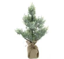 Cedar wild christmas tree Carly iced 56cm