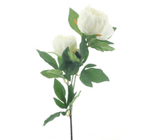 Paeony spray Chiba cream 65cm