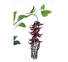 Wild wisteria garland red 162cm