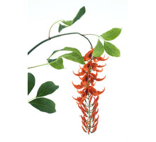 Wild wisteria garland orange 162cm